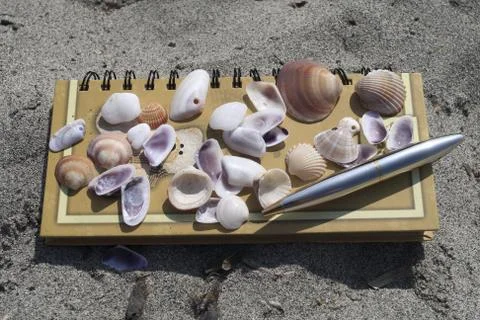Greetings from the Beach Foto stock