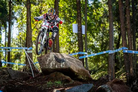 GREG MINNAAR Stock Photos