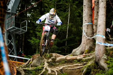 Greg Minnaar Stock Photos