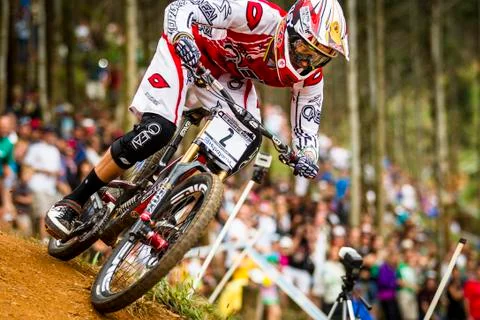 GREG MINNAAR Stock Photos