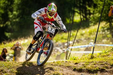 Greg Minnaar Stock Photos