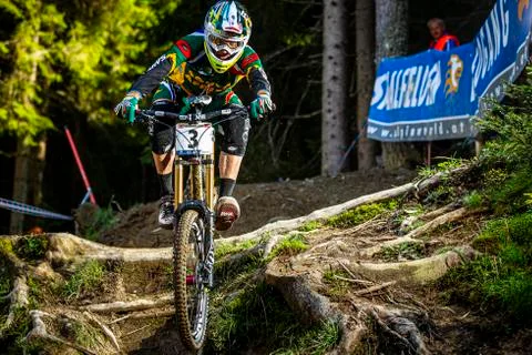 Greg Minnaar Stock Photos