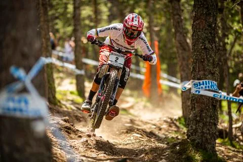 Greg Minnaar Foto stock