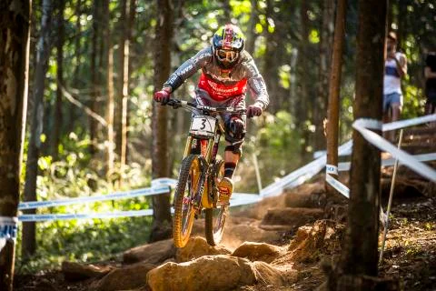 Greg Minnaar Foto stock