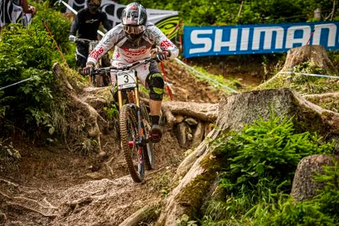 Greg Minnaar Stock Photos