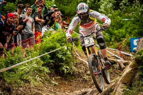 Greg Minnaar Stock Photos