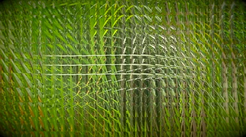 Gren grass abstract background Stock Footage 40033438