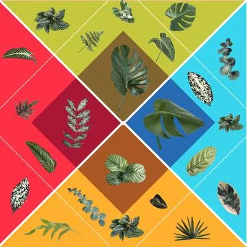 Gren tropical leaf design element set Stock Illustration