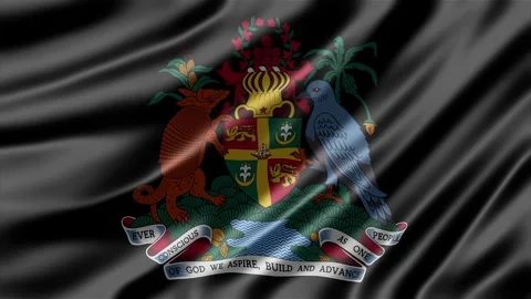 Grenada coat of arms rendered on a black fabric background Stock Footage 343882872