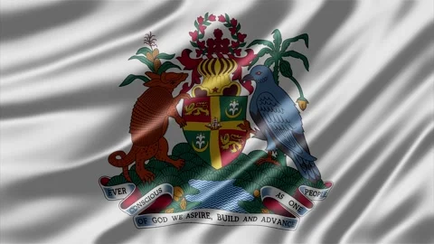 Grenada coat of arms rendered on a rippling white fabric surface Stockbeeldmateriaal 343882882