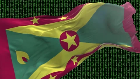 Grenada flag - Waving flag on matrix binary code background Stock Footage 321421200