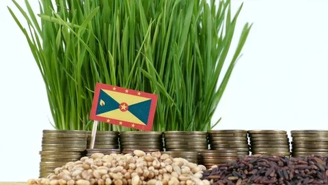 Grenada flag waving with stack of money coins and piles of wheat and rice seeds Stock Footage 71932183
