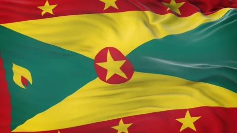 Grenada flag waving in the wind with highly detailed fabric texture 動画素材 123249656