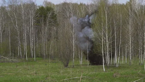 Grenade explosion in the forest. Видео 106859594