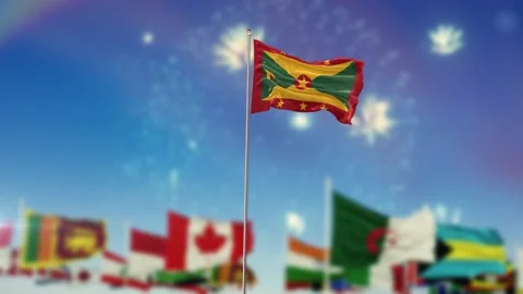 Grenade Flag With Flags Of The World And Fireworks Moring And Night 3D Rendering Video stock 149950125