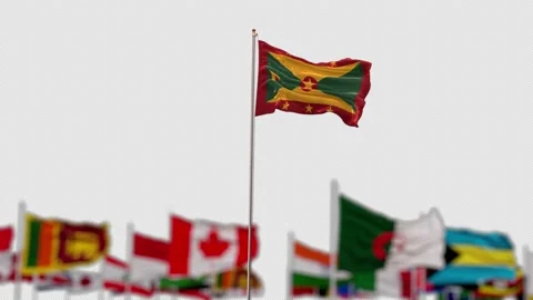 Grenade flag with world flags alpha Video stock 166971800