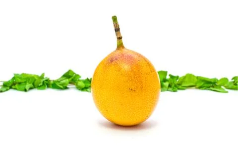 Grenadine on a white background Stock Photos