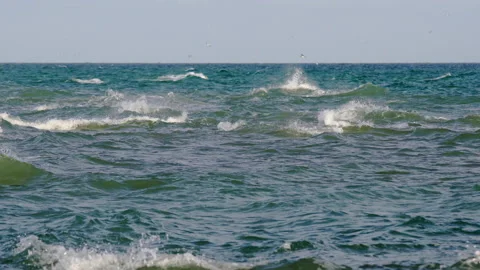 Grenen is where two seas, the North Sea and the Baltic Sea, join Video stock 162260921