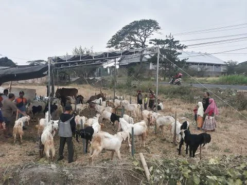Gresik, East Java / Indonesia - July 28, 2019 : Welcoming Eid Al-Adha Stockfoto's