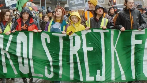 Greta Thunberg Leads School Strike for Climate Stock Footage