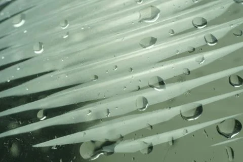 A grey abstract macro background with a gradient pattern Stock Photos