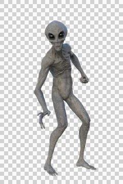 Grey Alien. 3D render isolated on transparent background. Stock Illustration