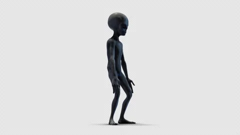 Grey Alien Shrug With Shadow 02 Stock Footage 293492358