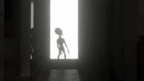 grey alien shadow