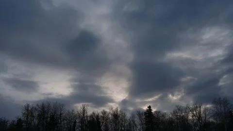 Grey and bluish evening storm clouds towards the viewer above a tree line Stock Footage 150069826