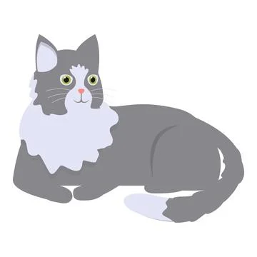 Grey and white cat lying down looking up Illustrazione stock