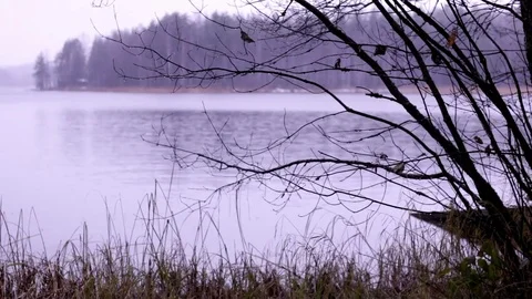 Grey autumn shore with sleet falling over the lake Stock Footage 70097985