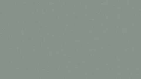 Grey background and with a different look Stock Photos