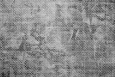 Grey background 写真素材