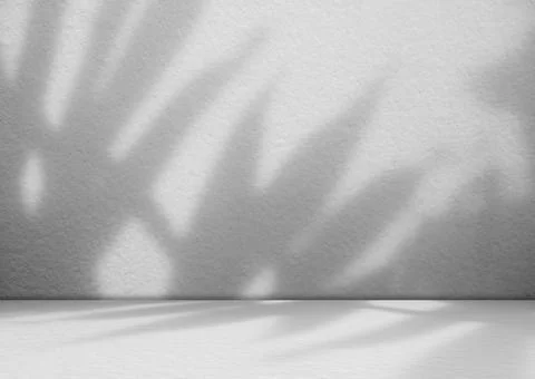 Grey Background Wall Shadow Leaf White Light Kitchen Abstract Studio 스톡 사진