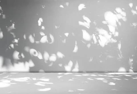 Grey Background Wall Shadow Leaf White Light Kitchen Abstract Studio 库存照片