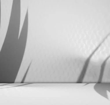 Grey Background Wall Shadow Leaf White Light Kitchen Abstract Studio Fotos de archivo