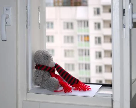 Grey bear. Stock Photos