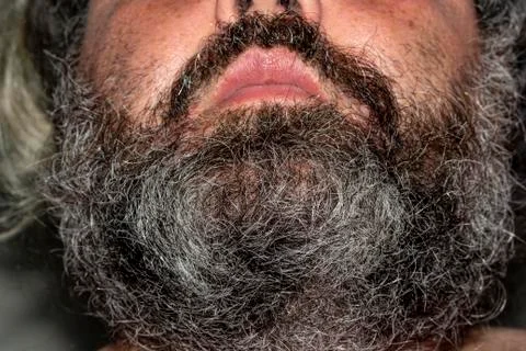 Grey beard Stock Photos