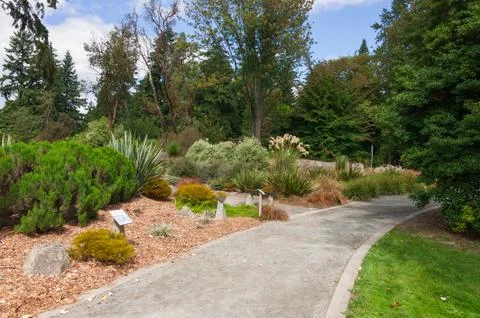 Grey bend Stock Photos