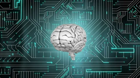 Grey brain rotating on computer circuit board Stock Footage 114811653