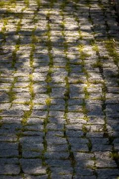 Grey Brick Path with Grass Between Bricks Stock Photos