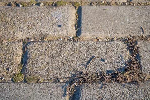 Grey brick pavement background close up. Gray stone tile block background Stock Photos