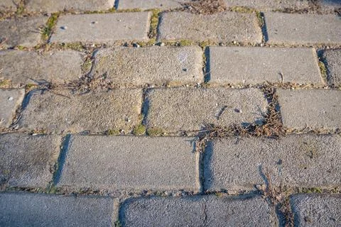 Grey brick pavement background close up. Gray stone tile block background Stock Photos