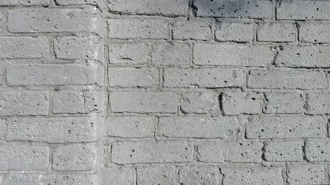 Grey brick wall near plan Stock Footage 112990053