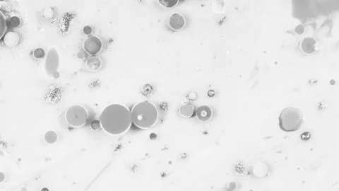 Grey Bubbles Flowing in White Paint Video stock 208750669
