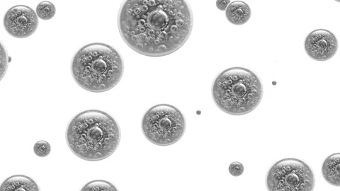 Grey bubbles on white background Stock Footage 102531205