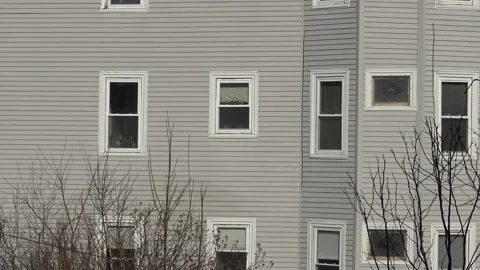Grey building with windows and trees 库存影片 146011403