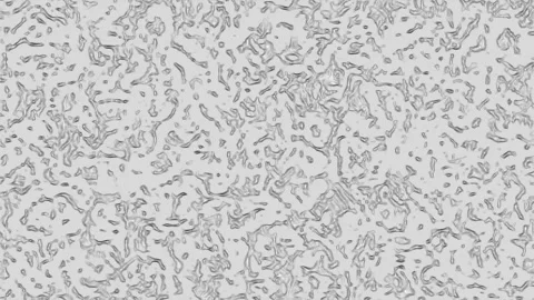 Grey Cast Iron Microstructure with Graphite Flake Metallic Texture Stock Footage 335137557