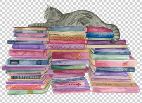 Grey cat with books Stock Illustration