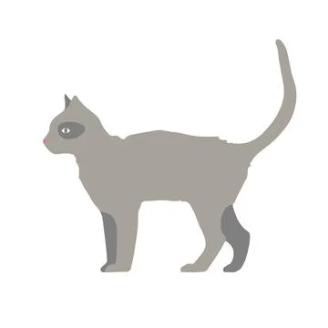 Grey cat. flat vector illustration of a gray walking cat. Stock Illustration